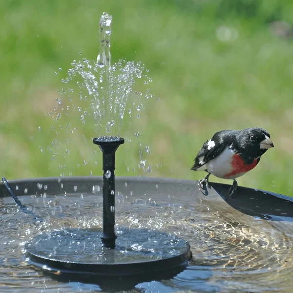 ✨Solarbetriebene schwimmende Fontäne, geeignet für Miniatur-Gartensprinkler, Steingärten und Teiche im Freien✨ - Image 4