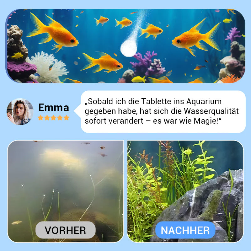 Blitzangebot: 50% Rabatt💥🚀Kaufen 2 und erhalten 1 gratis♻️💧Leistungsstarke Wasserreinigungstablette für Aquarien -Furzero® - Image 3